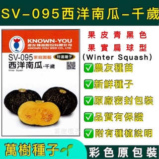 【萬樹種子】SV-095 西洋南瓜-千歲 特選蔬果種子 農友種苗 彩色密封 原廠包裝
