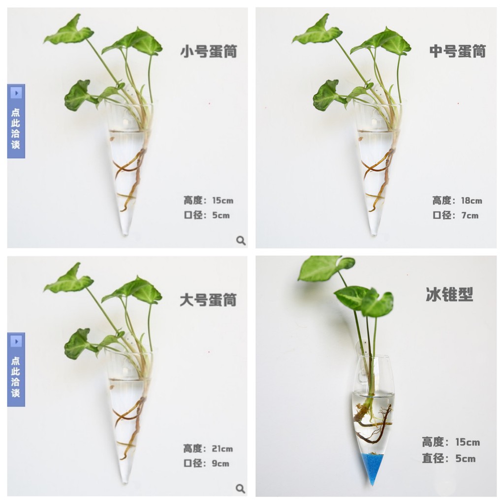 Miss 2 簡約無印風壁掛式透明玻璃花瓶 吊掛水栽植物 蝦皮購物