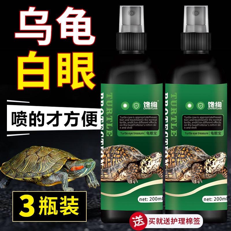 腐甲 優惠推薦 22年7月 蝦皮購物台灣