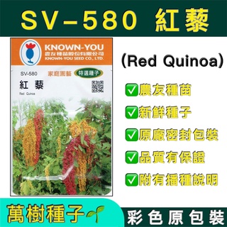 【萬樹種子】 SV-580 紅藜 特選蔬果種子 農友種苗 彩色密封 原廠包裝