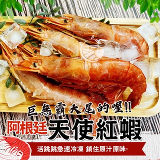 阿根廷-天使紅蝦-生食等級最高品質【歐嘉嚴選】烤肉 火鍋