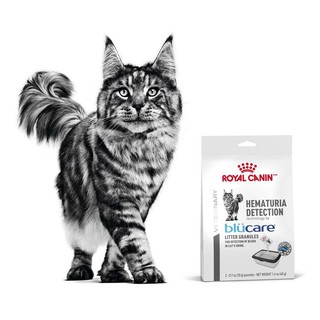 Royal Canin Blücare 皇家 家用血尿檢測貓砂顆粒 2 包 x 20g 用於貓砂 或 貓便盆中