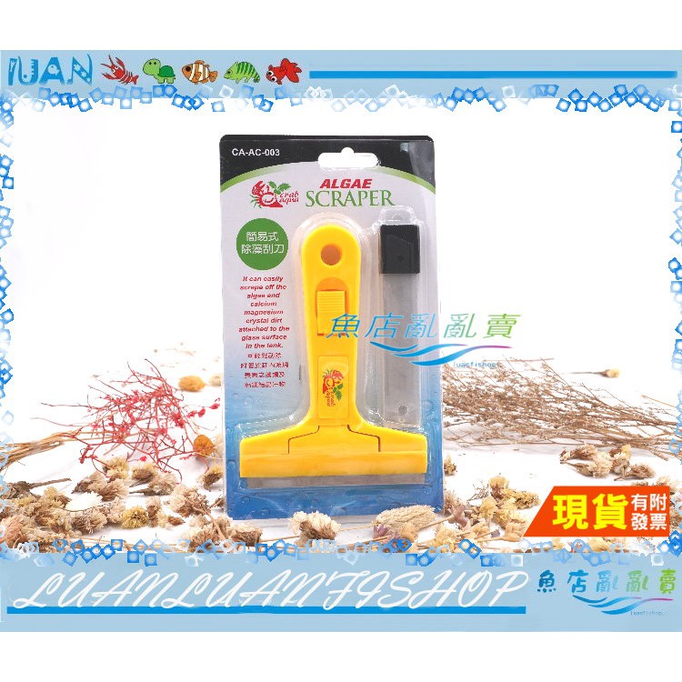 ac 魚缸- 水族相關優惠推薦- 寵物2021年11月 蝦皮購物台灣