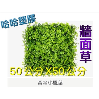 哈哈塑膠 黃金小楓葉仿真植物牆 草坪地毯 假草皮 陽臺草綠化裝飾 綠色植物背景牆 人工草皮 模擬草皮 綠化擺設 塑膠草皮