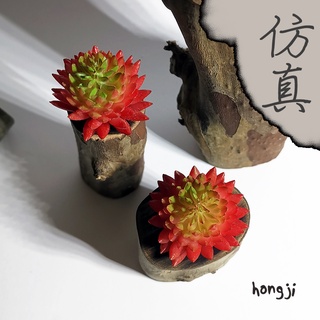 多肉 模擬多肉 微景觀 P44 假多肉植物 辦公室小物 生日禮物拍照道具居家裝飾咖啡屋商店擺飾迷你木頭底座盆栽