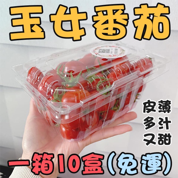 （免運) 玉女番茄 皮薄多汁 十斤裝 小番茄 水果送禮 番茄