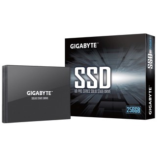 【J.X.P】技嘉 GIGABYTE UD PRO 256GB 內接式固態硬碟(SSD)