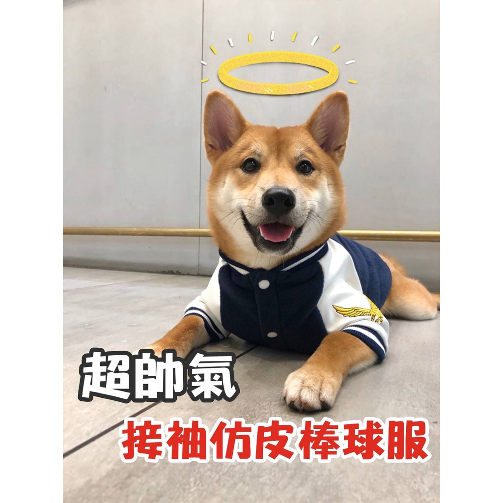 毛衣櫥 帥氣接袖仿皮棒球服柴犬衣服寵物衣服春夏秋冬衣服 蝦皮購物