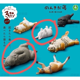 (已降價)T-ARTS 休眠動物園 Zoozoozoo 第四彈 犀牛 兔子 扭蛋 轉蛋