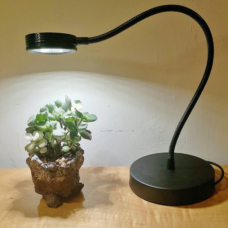 桌上型任意彎全光譜植物燈 蝦皮購物