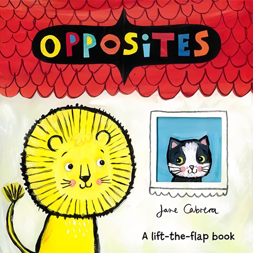 Opposites A Lift The Flap Book 相反詞 翻翻書 外文書 蝦皮購物