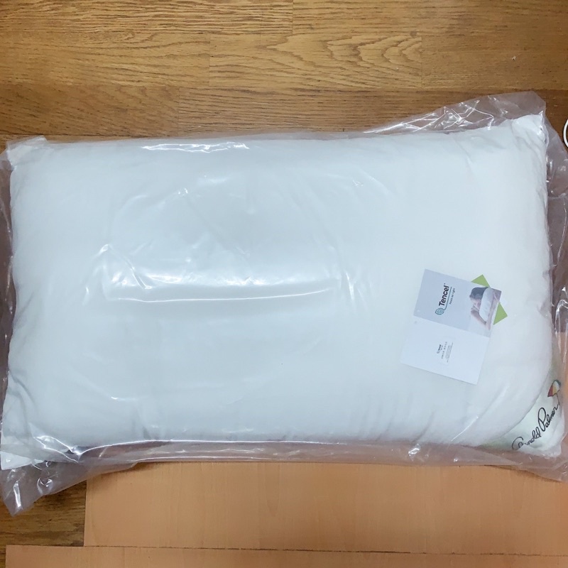 全新 雨傘牌Arnold Palmer台灣製天絲枕頭 枕頭 天絲 3M天絲布