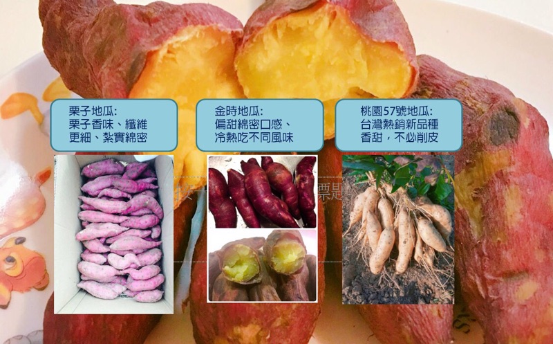 栗子地瓜金時地瓜無農藥一斤60元 70元優惠日本品種 蝦皮購物