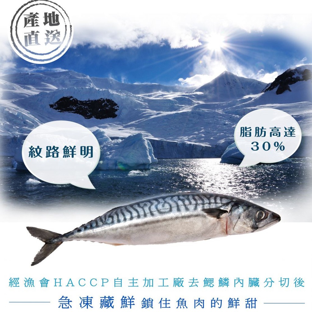 梓官漁會 特選挪威薄鹽鯖魚片 160g 片 蝦皮購物