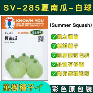 【萬樹種子】 SV-285 夏南瓜-白球 節瓜 櫛瓜 特選蔬果種子 農友種苗 彩色密封 原廠包裝