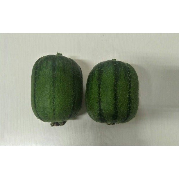 【大包裝蔬菜種子L206】黑金剛絲瓜~ 生育強健，瓜實短筒型，果皮深綠條紋，果長約18公分，果重約500~600公克
