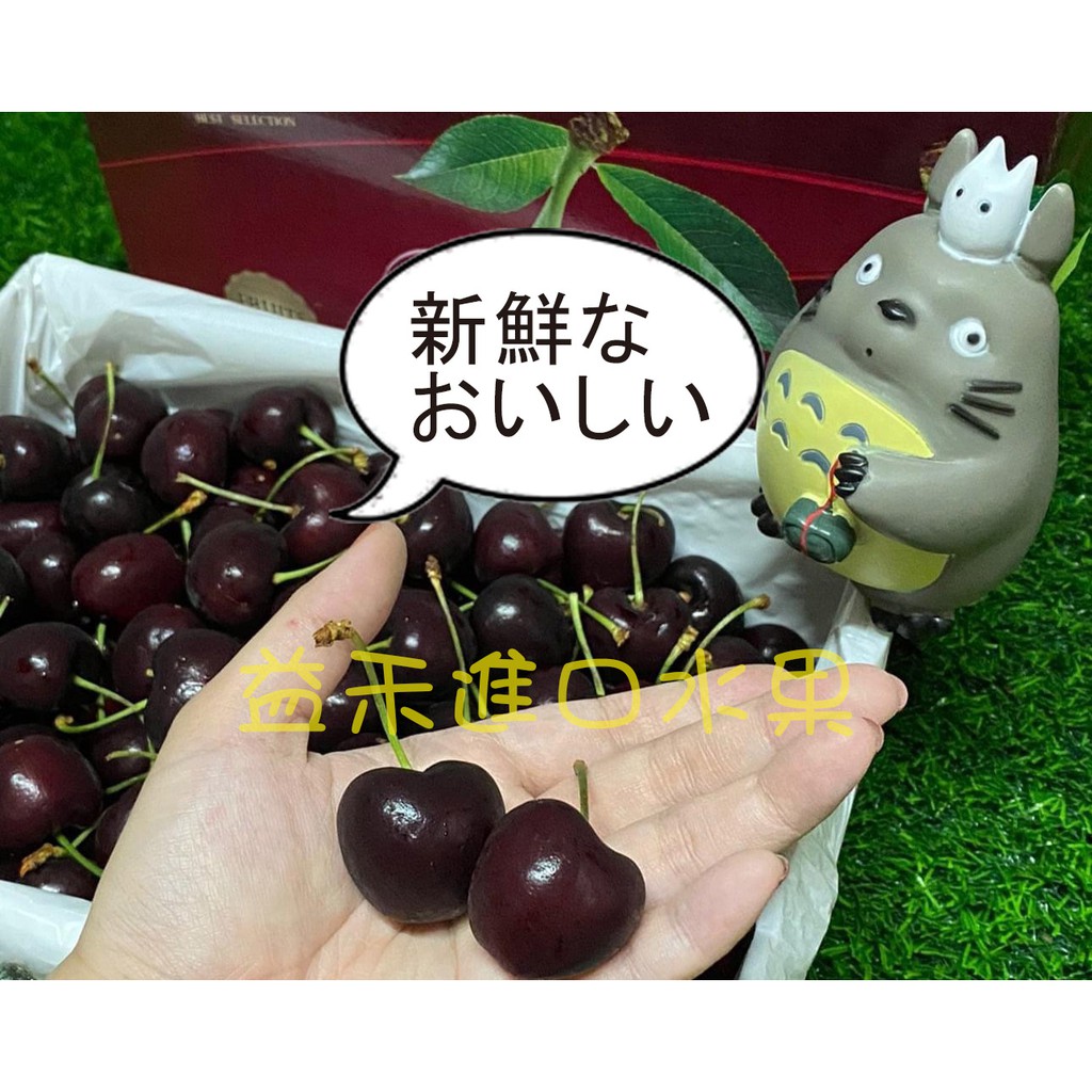 益禾進口水果 智利黑櫻桃 2kg/2.5kg/5kg 30mm~32mm 櫻桃禮盒 送禮禮盒 伴手禮
