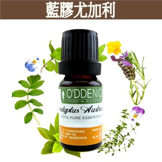 《歐丹尼》【藍膠尤加利純精油10ml-50ml】優質單方純精油系列EucalyptusBlue Gum