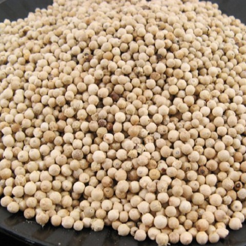 白胡椒粒 越南特香 一斤以上可免費下單磨粉 S111 蝦皮購物