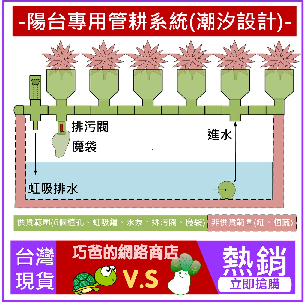 [現貨免運]-套裝陽台管耕(潮汐設計) 自動澆水 龜菜共生 魚菜共生 潮汐管耕 陽台專用 親子DlY (適2呎缸)