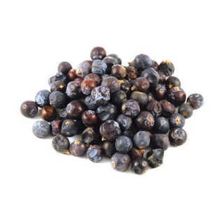 【珍裕亭嚴選】杜松子/杜松果/Juniper berry