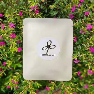 COFFEE ORCHID 精品濾掛咖啡 自家烘焙 濾掛咖啡 耳掛咖啡