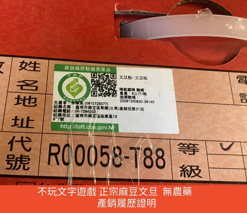 免運可試吃 柚見中秋 正宗麻豆文旦禮盒 正老欉伴手禮中秋節文旦柚子麻豆文旦鮮肉多汁10台斤5台斤特美級優美級