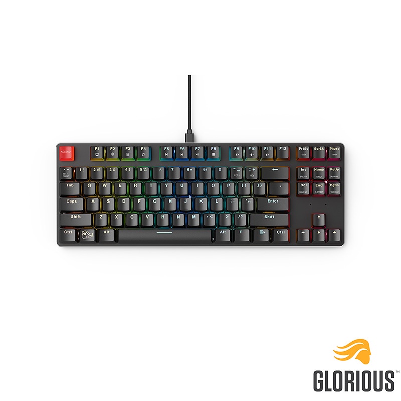 Glorious GMMK TKL 80% RGB模組化機械鍵盤 茶軸 英文 - 黑