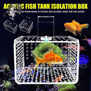 小魚飼養箱的價格推薦 21年5月 比價撿便宜