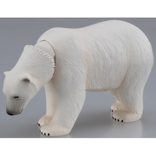 TOMY 多美動物園 ANIA 探索動物系列 AS-10 北極熊 動物模型 AN48800