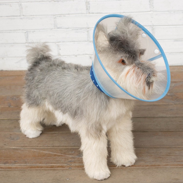 犬貓狗 伊莉莎白頸圈 醫療防護罩 寵物雷達 貓頭套 狗喇叭花 保護罩（XL，中小型犬）每件130元