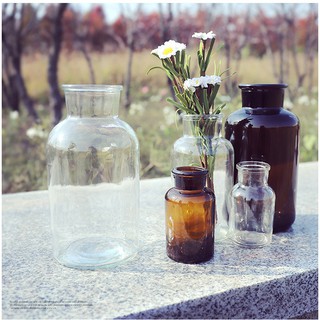 水耕花器 園藝植作優惠推薦 居家生活21年8月 蝦皮購物台灣