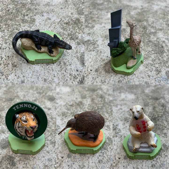 推薦正版散貨海洋公仔堂大阪天王寺動物園北極熊老虎鱷魚鹿限定扭蛋 蝦皮購物