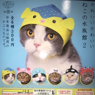 🐱貓星人🉐️絕版 奇譚 水族館 造型 貓咪頭套 現貨 日本小物 造型寵物 貓咪頭套 貓頭巾 寵物都能戴唷 寵物頭套