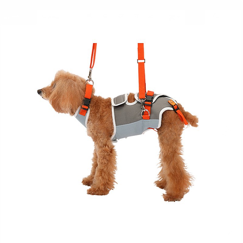 LaLaWalk 小型犬步行輔助帶-橘灰/老犬用品/輔助用品/寵物介護/