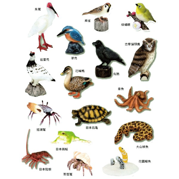 Eikoh 微型動物星球買即贈隨機場景一組動物世界ex8 全套共16款 哈玩具 蝦皮購物