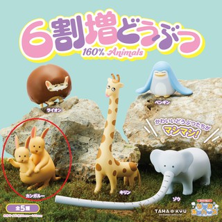 TAMA-KYU「6割增動物」扭蛋,單售~袋鼠~