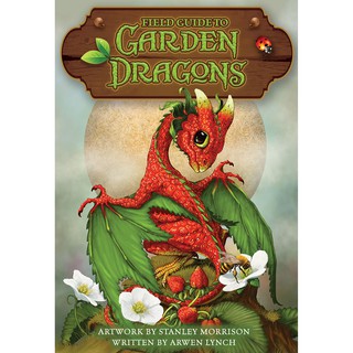 【預馨緣塔羅鋪】現貨正版園境龍奇幻指引卡Field Guide to Garden Dragons Oracle 46張