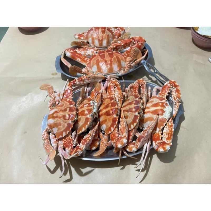 萬里花蟹 秋蟹 蝦皮購物