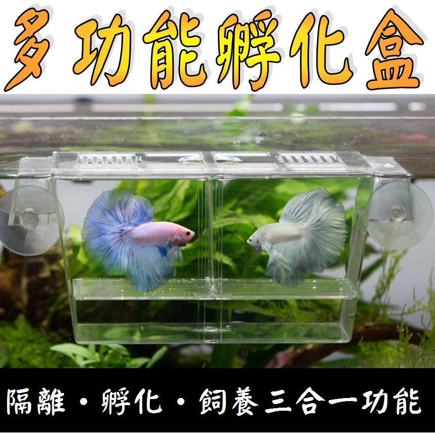 2種尺寸 繁殖 生小魚 隔離治療 養魚必備小物 產仔盒隔離盒繁殖盒隔離箱孵化盒孵魚槽生小魚水族專用 蝦皮購物