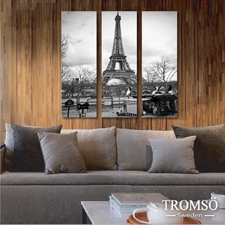 時尚無框畫-W01巴黎風情/鐵塔 艾菲爾 法國 可搭配相框牆 壁貼 【H0309001】【TROMSO】