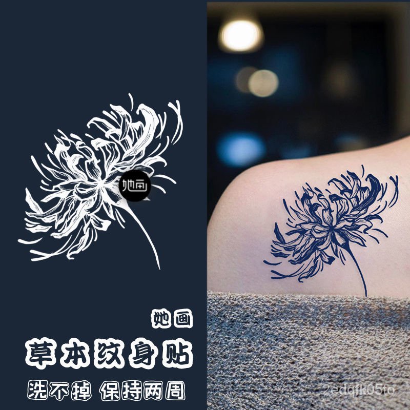 永久花 Ptt Dcard討論與高評價網拍商品 21年11月 飛比價格