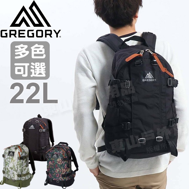 gregory day pack 22l