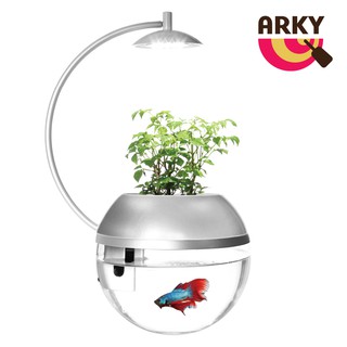 ARKY 香草與魚Herb&FishＸ極光銀限量版