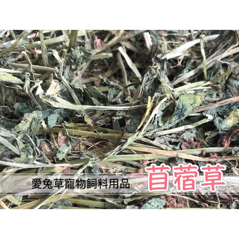 愛兔草 優質苜蓿草過篩紫花苜蓿鮮綠寵物 蝦皮購物