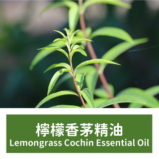 【馥靖精油】檸檬香茅精油 Lemongrass Cochin Essential Oil