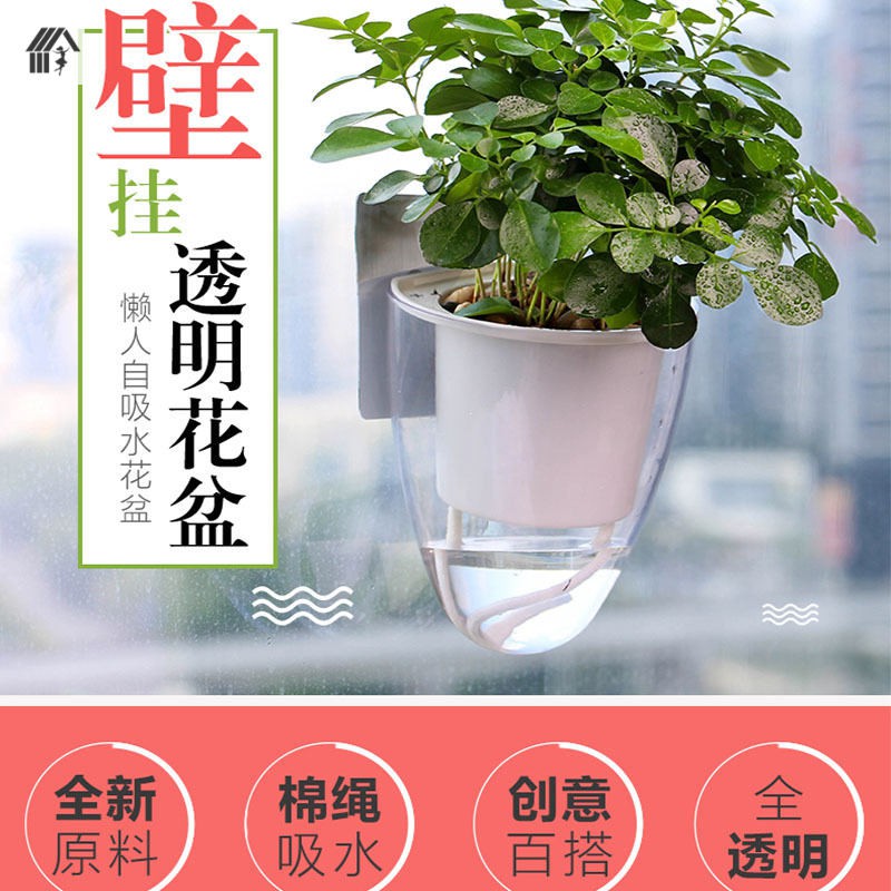 園藝全透明壁掛掛牆綠蘿花盆創意自動吸水懸挂式懶人塑料花盆p 蝦皮購物