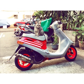 Honda dio 54