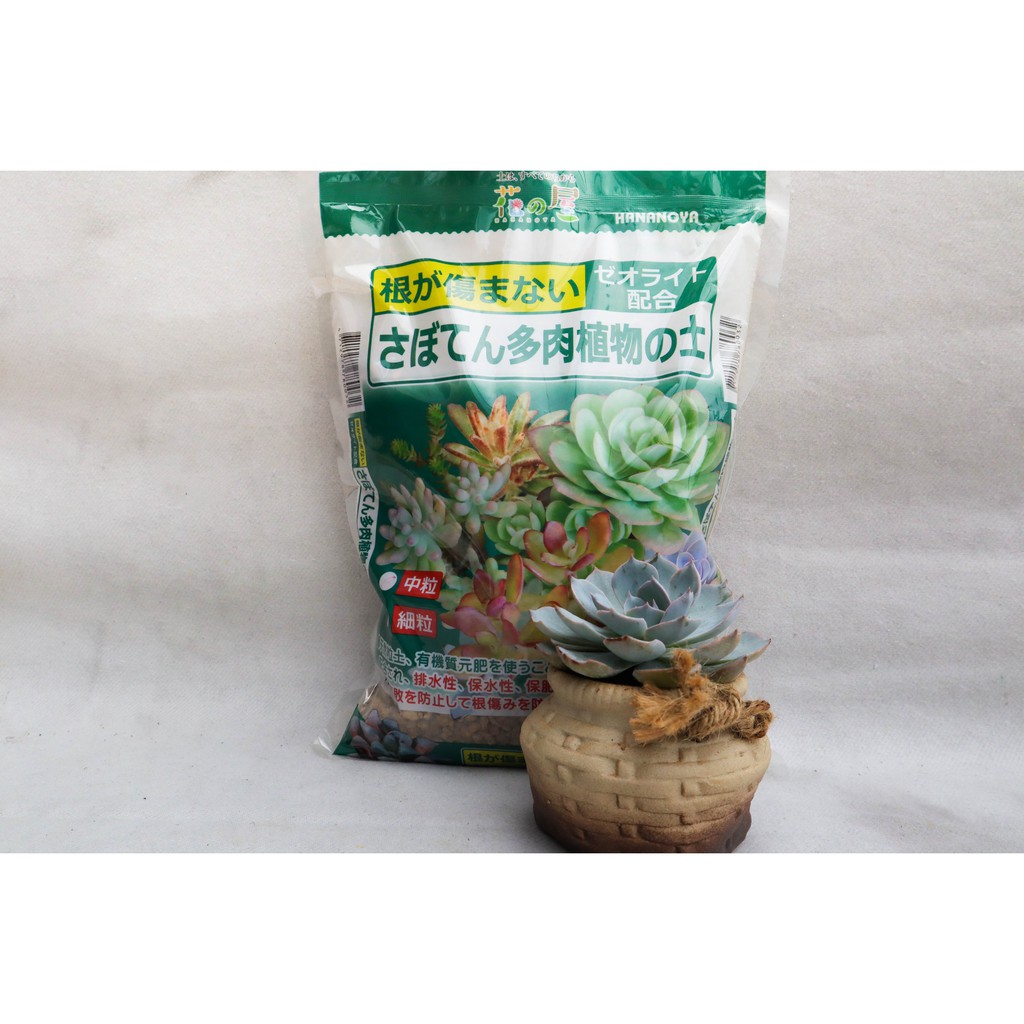 現貨 花之屋 仙人掌多肉植物專用土 栽培介質 多肉土 多肉介質 日本進口多肉介質 赤玉土 蝦皮購物