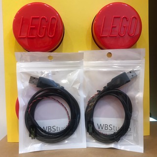 【臺南樂高 益同趣】 LEGO燈組專用 USB電源線 & AAA電池盒(3號電池)